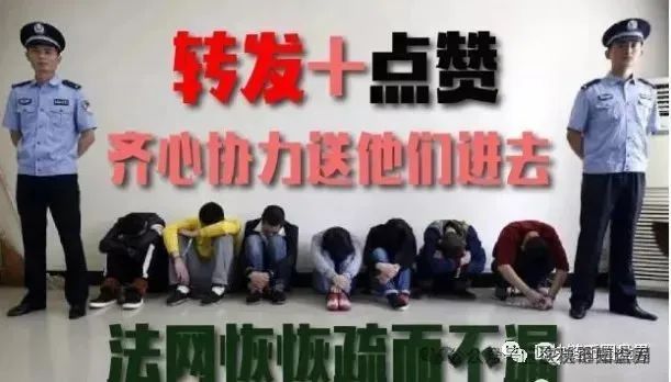 凤凰之城/凤凰币？别让你的钱包飞入火海！