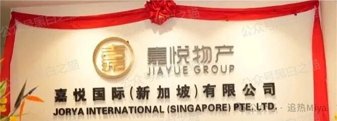 警惕伪冒！“嘉悦国际”期货资金盘碰瓷正规企业，东南亚操盘手设局割韭菜，投资人血本无归风险极高